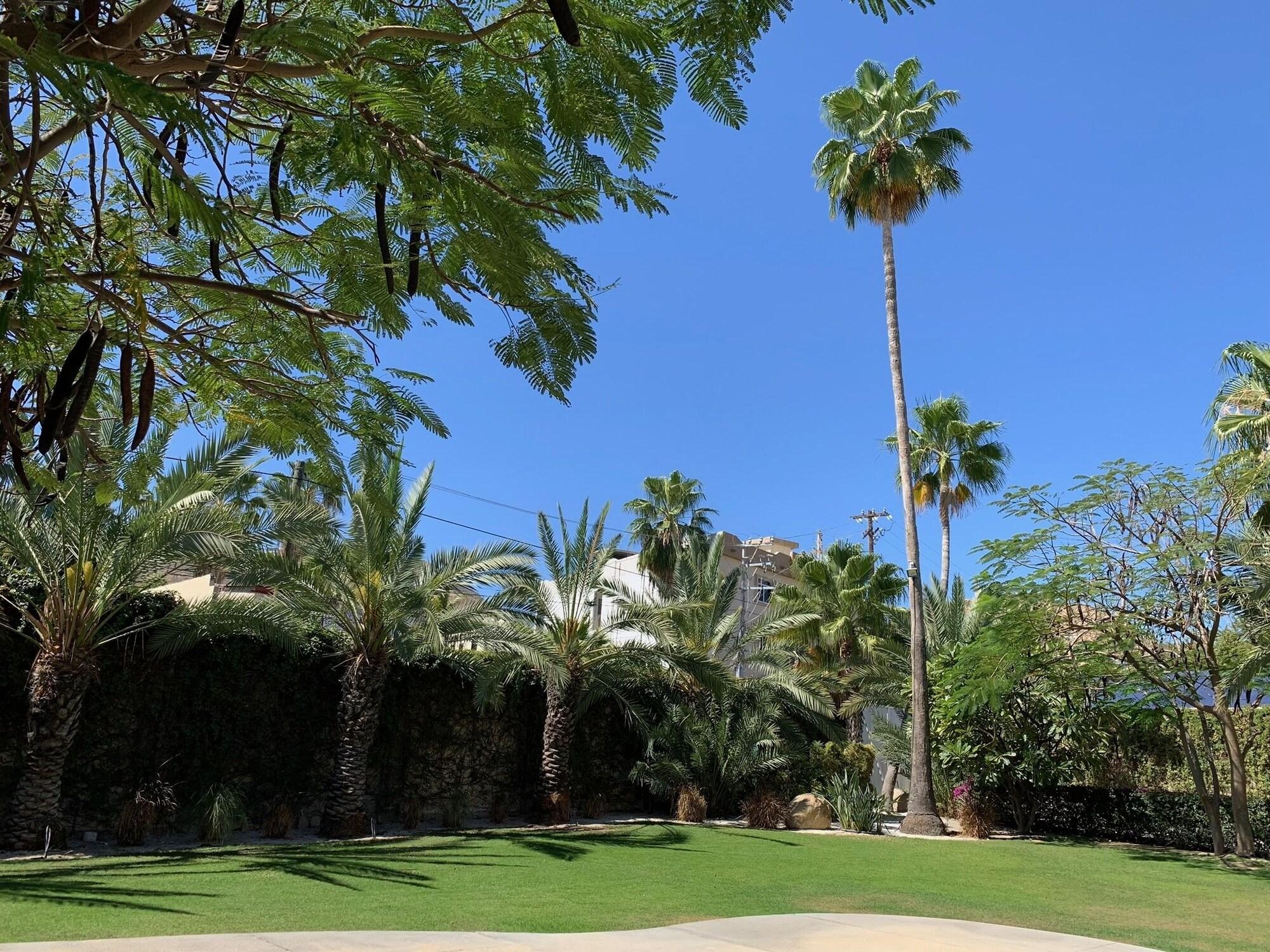 Los Milagros Hotel Cabo San Lucas Bagian luar foto